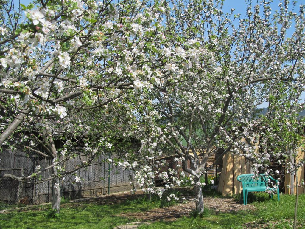 זוברץ Apartments Lubka מראה חיצוני תמונה